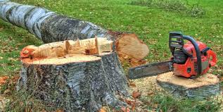 Best Tree Removal  in Lakemont, PA