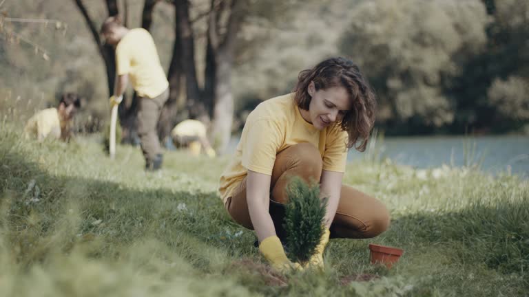 Best Root Management and Removal  in Lakemont, PA
